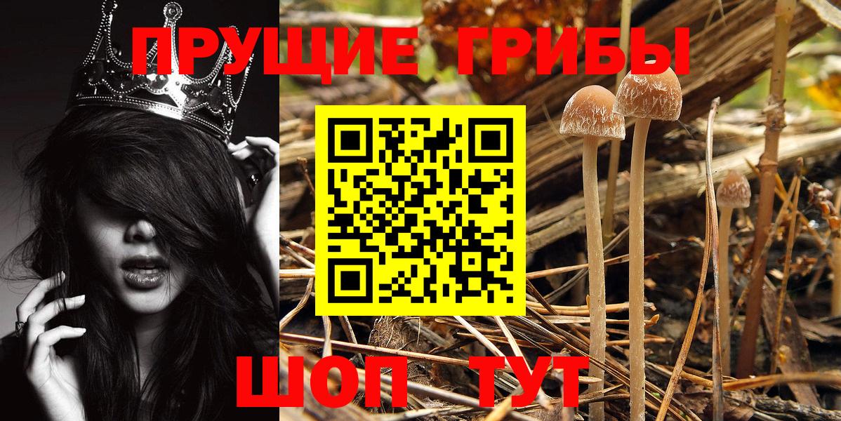 Галлюциногенные грибы MAGIC MUSHROOMS  Вход с VPN  Саратов 