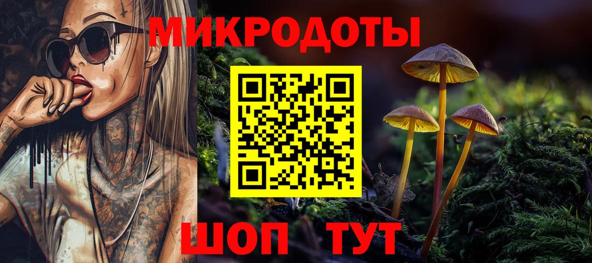 Галлюциногенные грибы Psilocybine cubensis Саратов